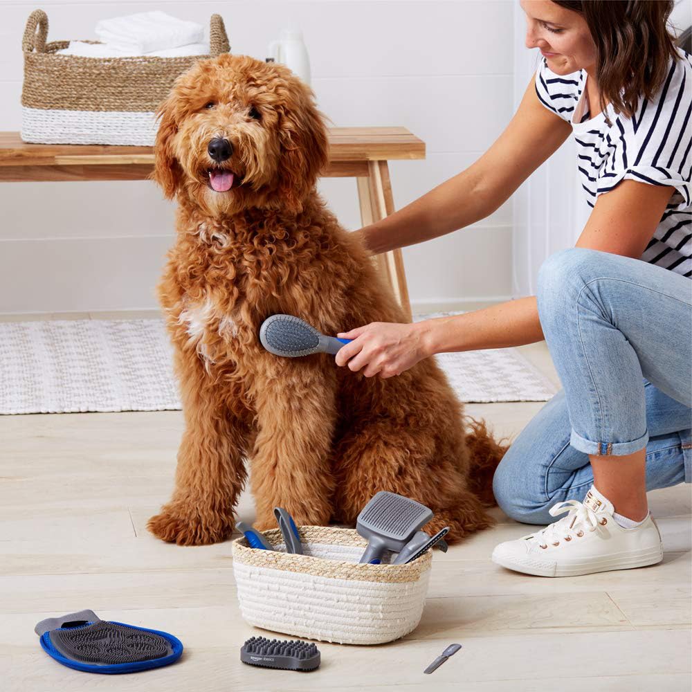 Amazon | Amazonベーシック ペットグルーミングセット ブラシ シェ
